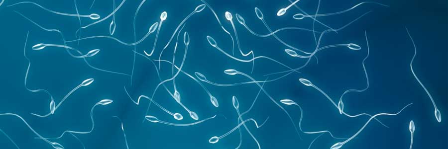 infertilidad masculina tratamiento para lograr concebir un bebe